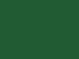 Robison-Anton Polyester - 5584 Deep Green
